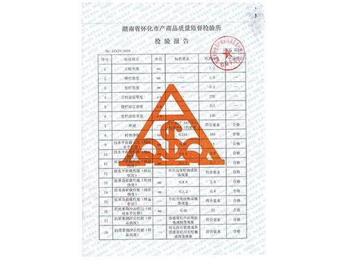 栅栏检验报告 (4)